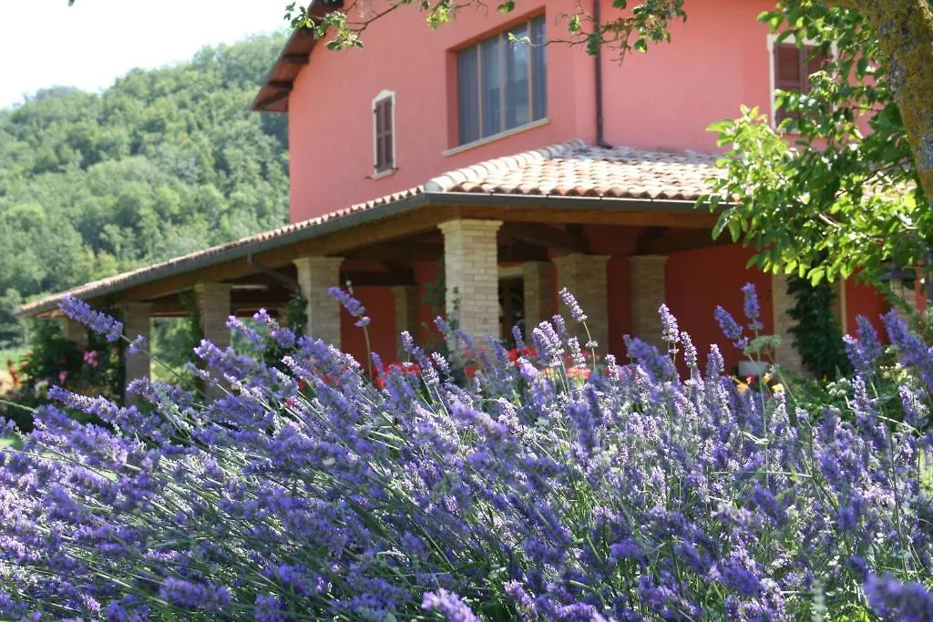 Agriturismo La Rosa Tea-1